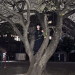 石丸めぐみ氏の写真